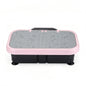 Slimming Vibration Plate Workout Equipment